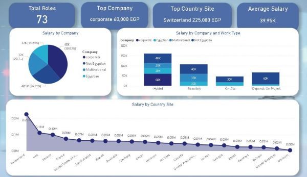 الرواتب في عام 2025 - مشروع تحليل بيانات باستخدام Power BI