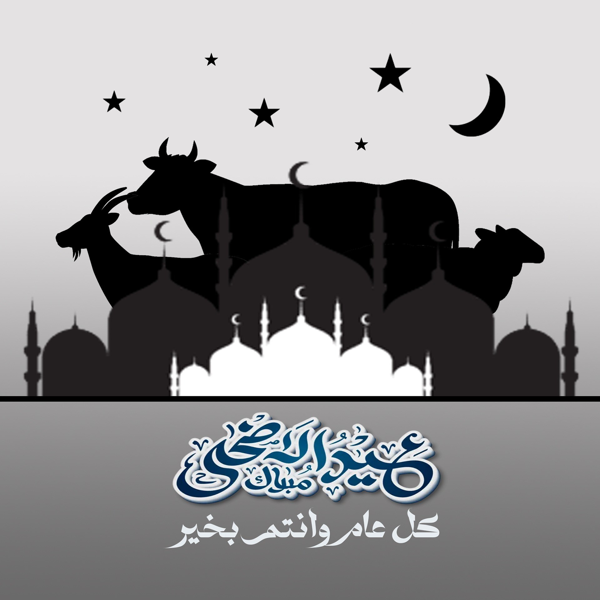 تصميم سوشيال ميديا