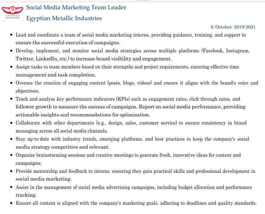 Social Media Marketing Team Leader  Egyptian Metallic Industries