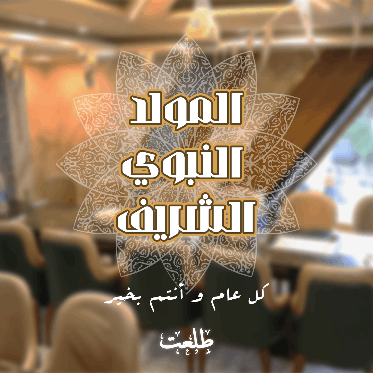 أخر أعمالي مع مطعم طلعت 🍽️