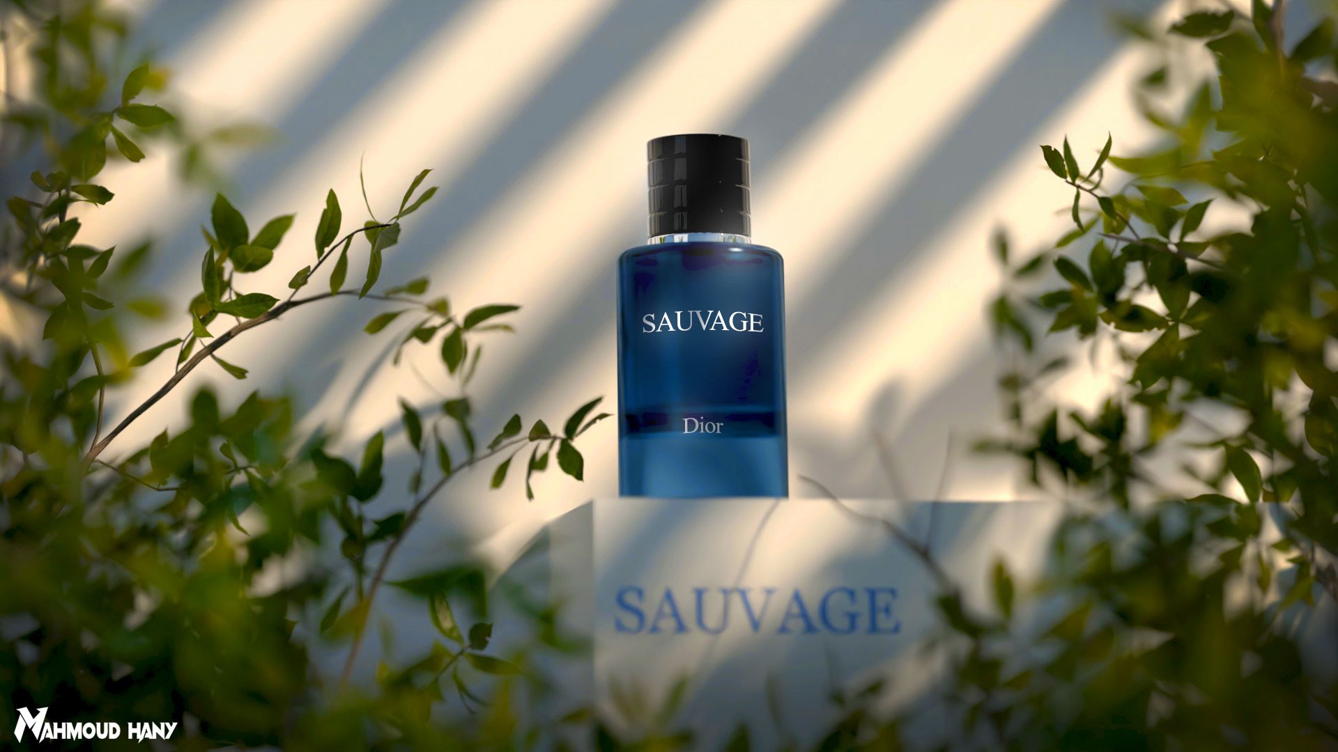 SAUVAGE perfume