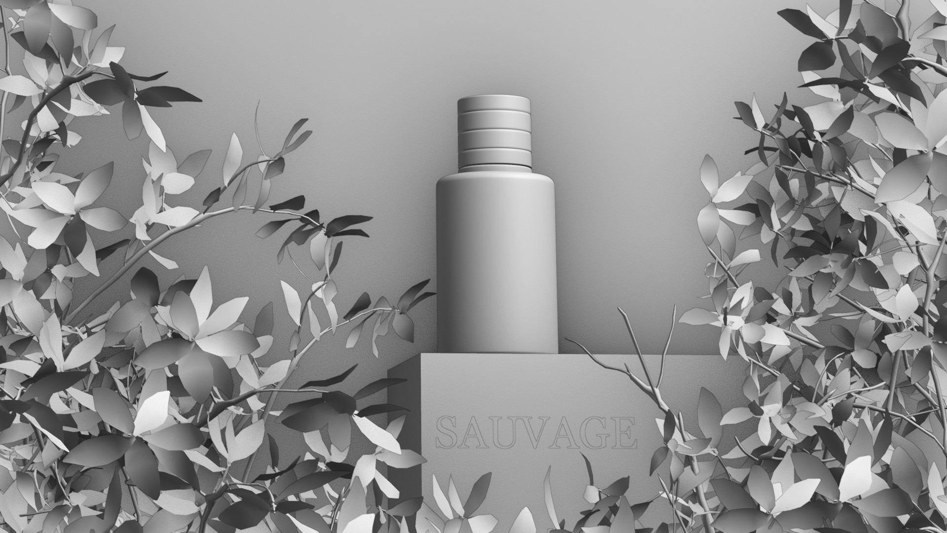 SAUVAGE perfume