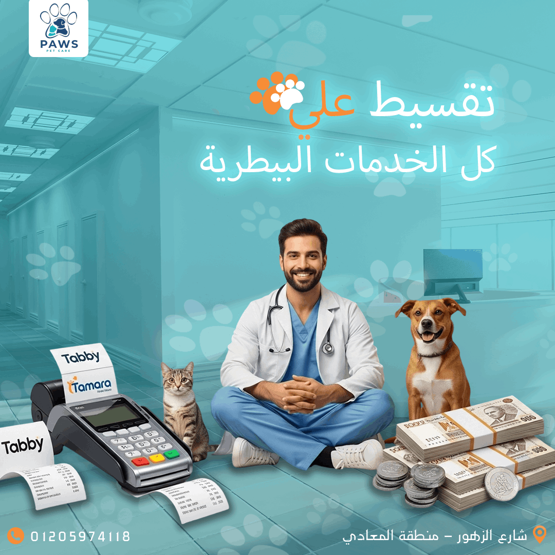 مصممة جرافيك متخصصة في تصميم الإعلانات والشعارات والمحتوى الرقمي