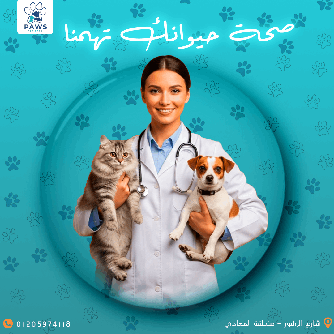 مصممة جرافيك متخصصة في تصميم الإعلانات والشعارات والمحتوى الرقمي