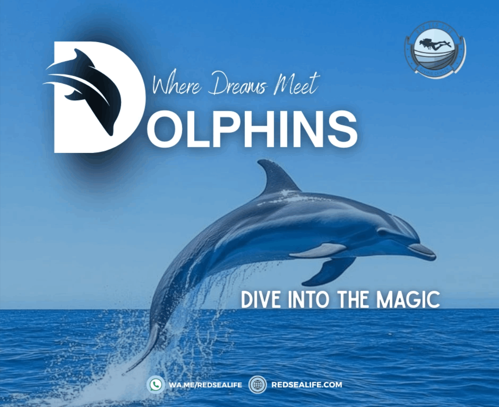 Design and Art Direction Work For Red Sea Life Diving Resort