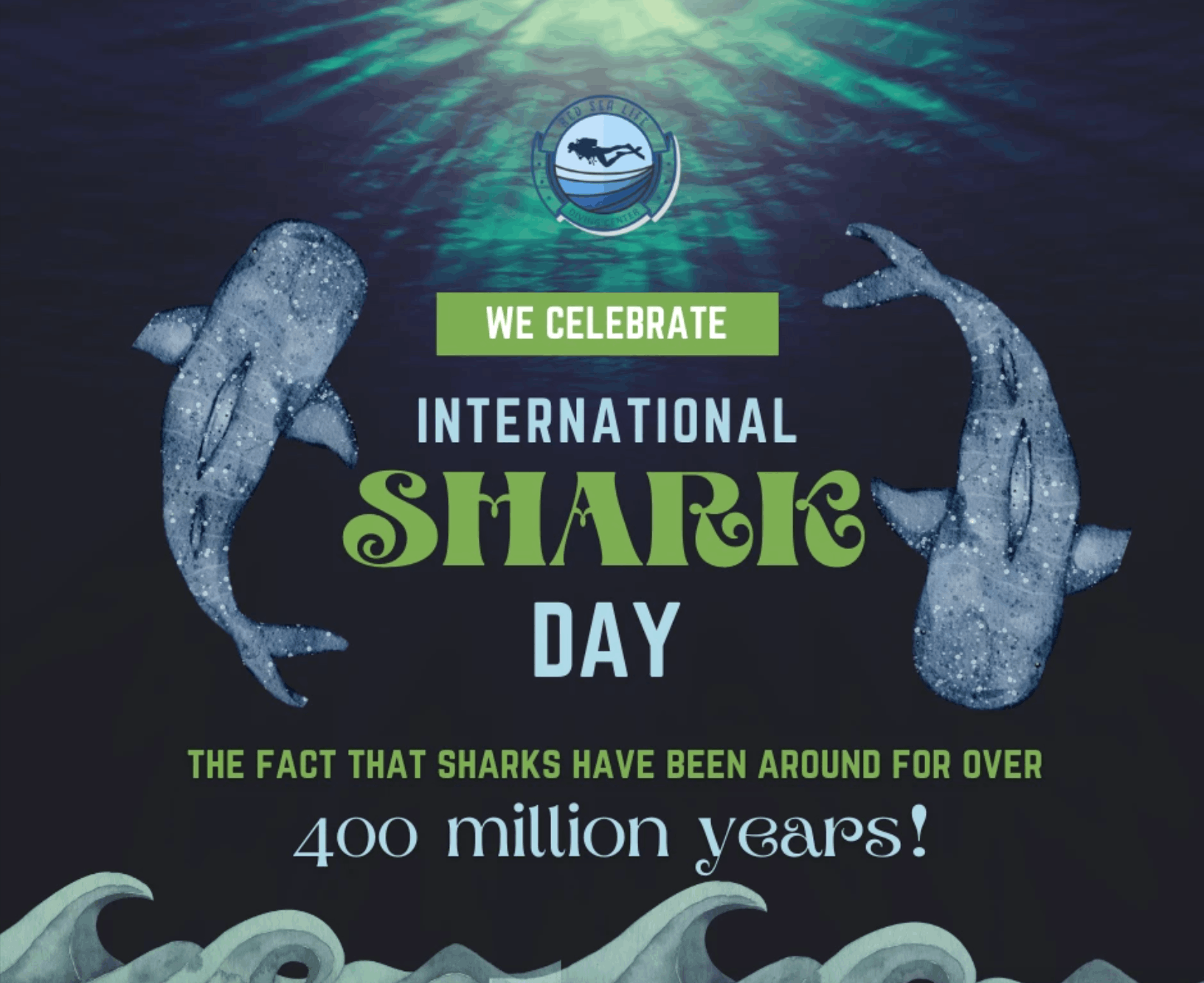 تصميمات ل PADI Aware - Diving Foundation