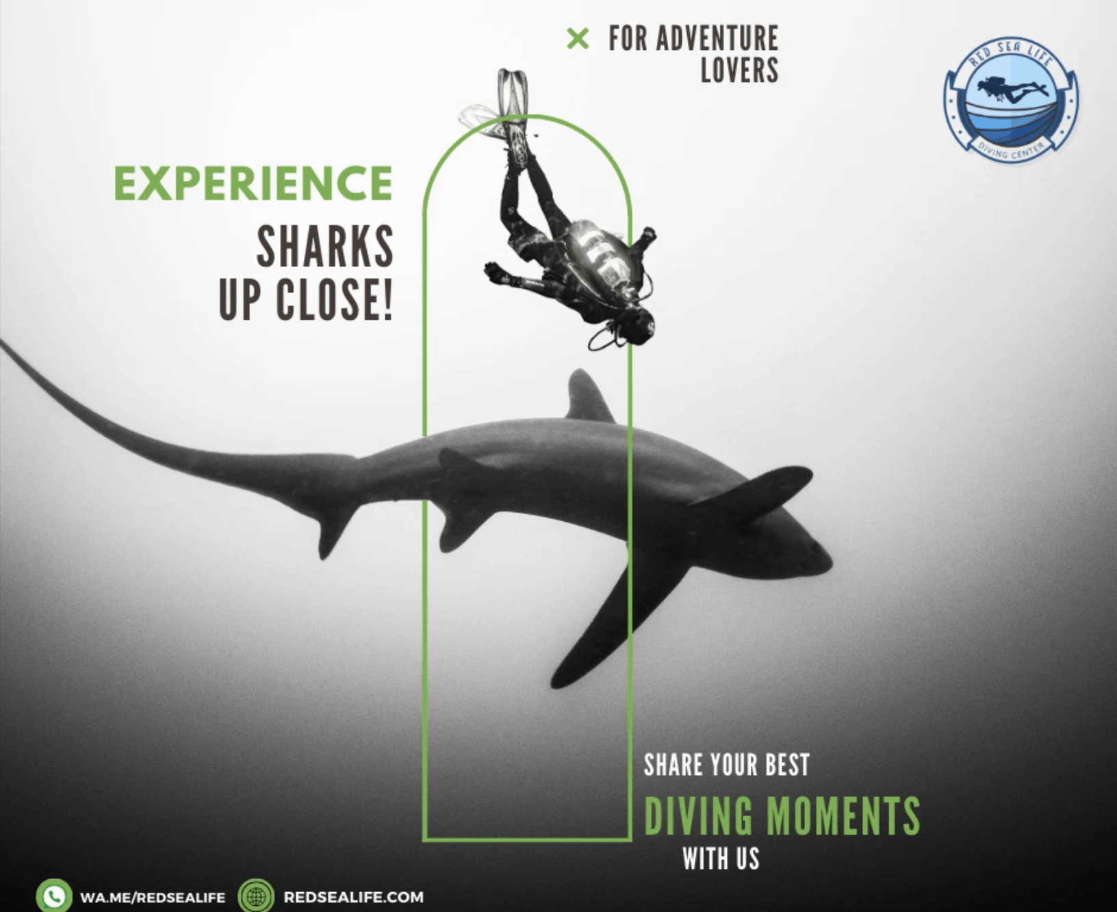 تصميمات ل PADI Aware - Diving Foundation