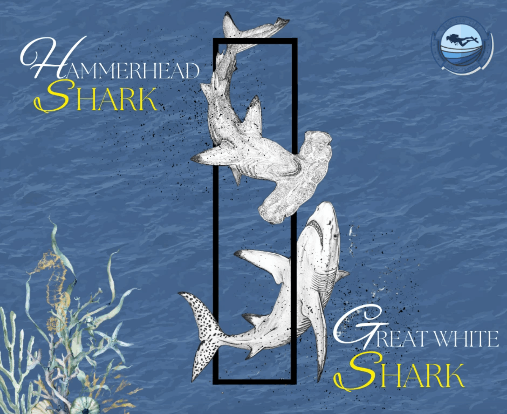 تصميمات ل PADI Aware - Diving Foundation