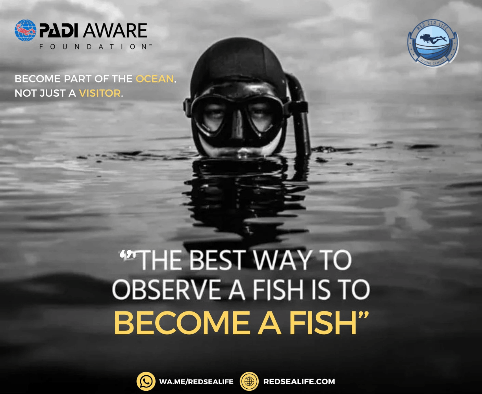 تصميمات ل PADI Aware - Diving Foundation