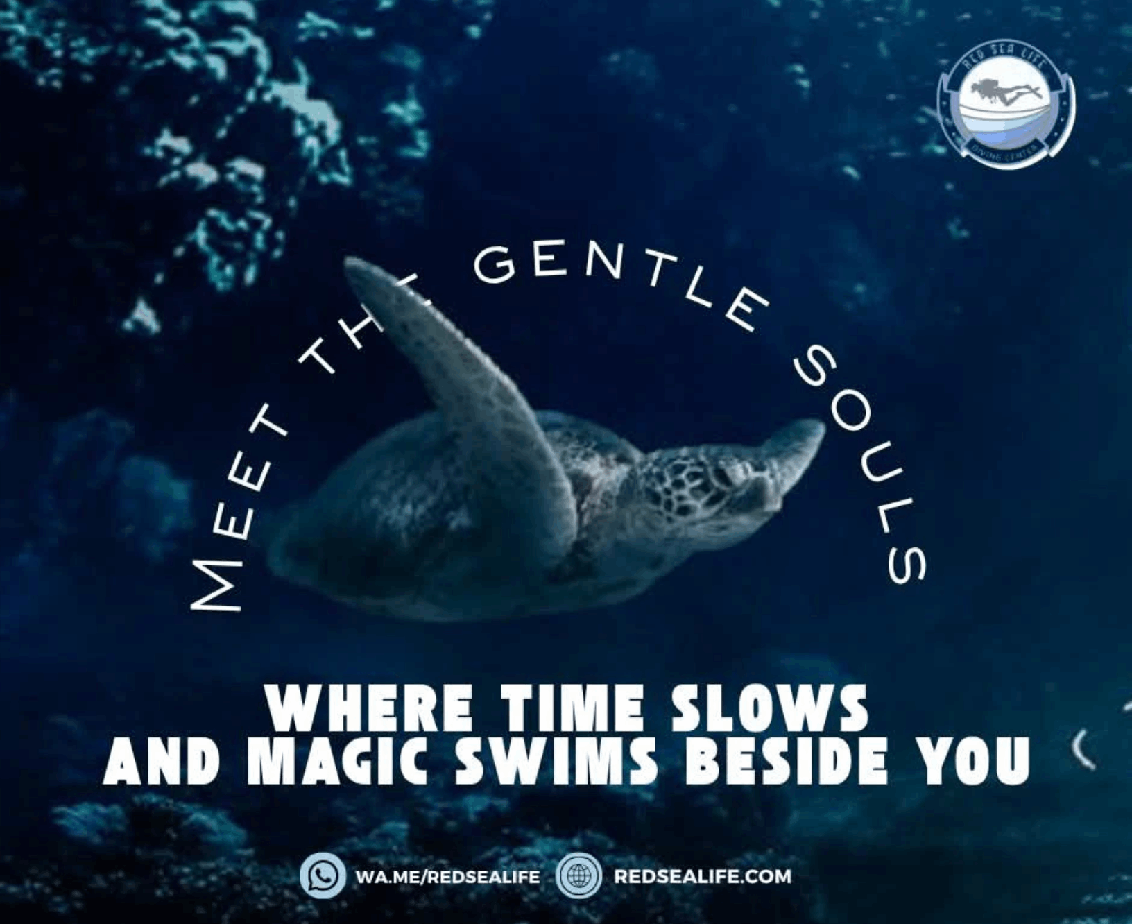 تصميمات ل PADI Aware - Diving Foundation