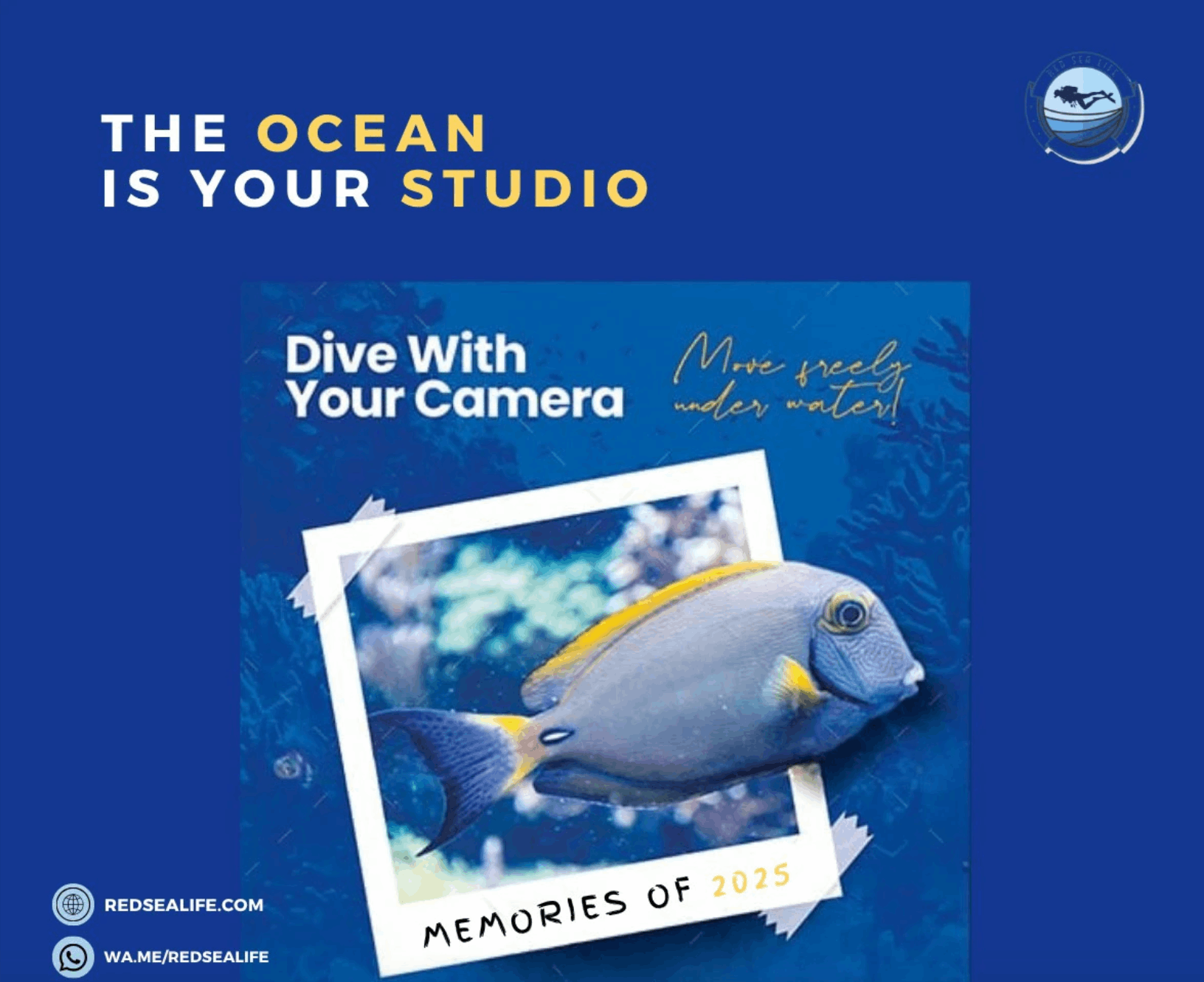 تصميمات ل PADI Aware - Diving Foundation