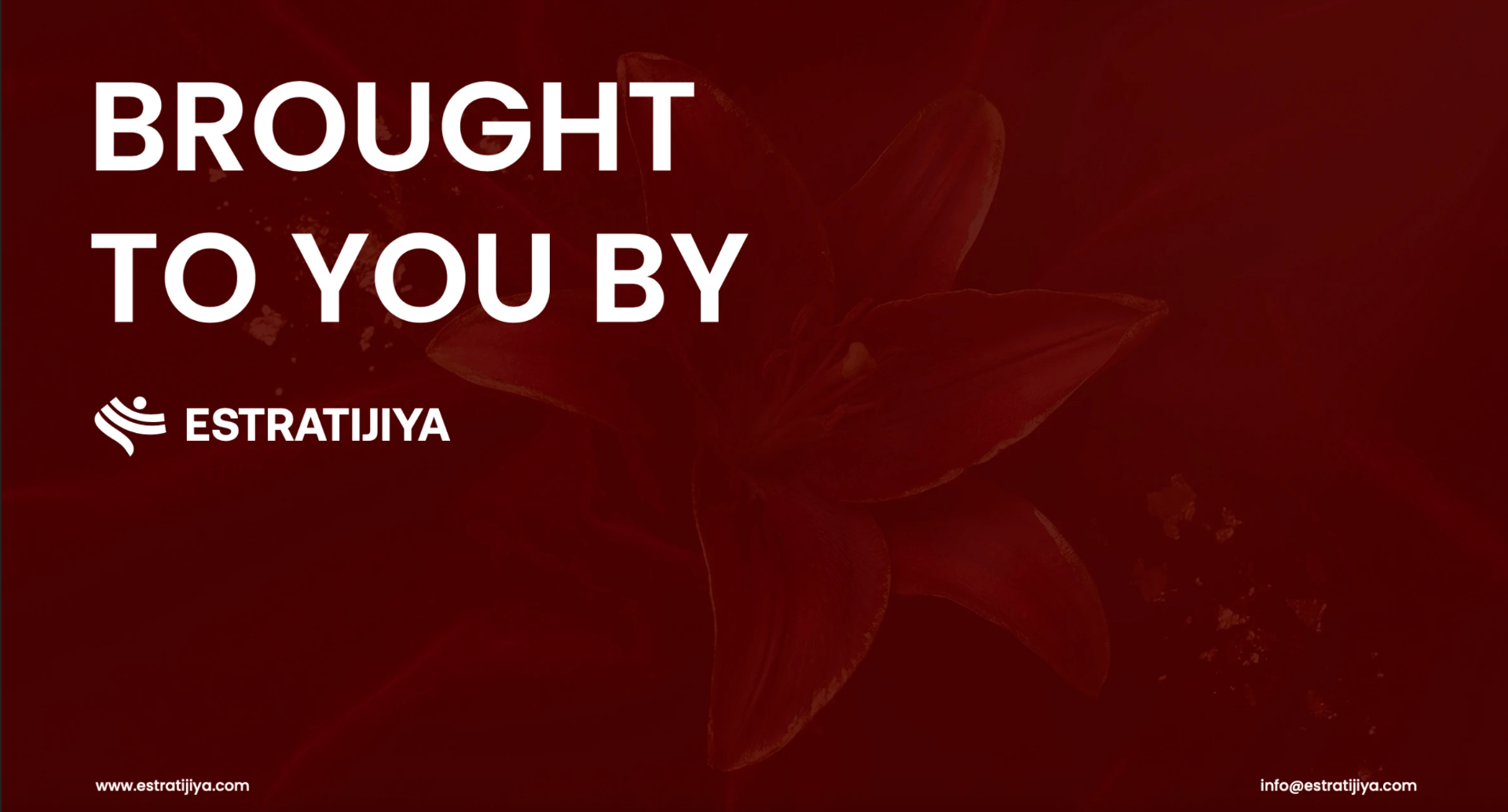 ART DIRECTION WORK  PERSONAL BRANDING FOR STYLING BLOGGER - هوية بصرية