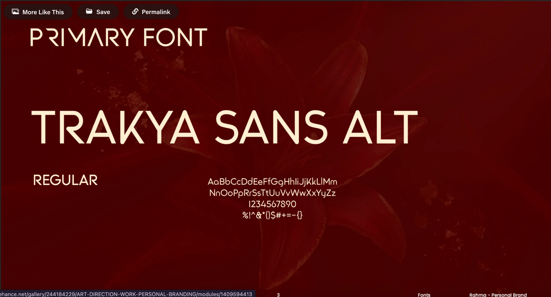 ART DIRECTION WORK  PERSONAL BRANDING FOR STYLING BLOGGER - هوية بصرية