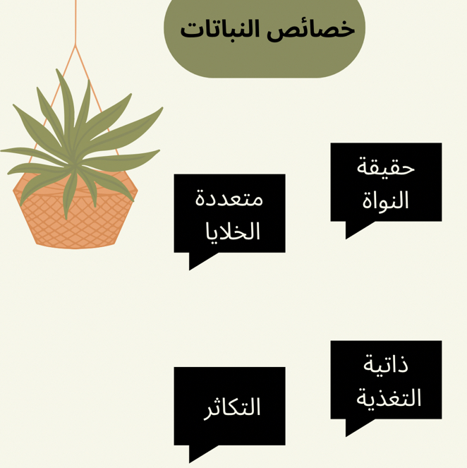خرائط مفاهيم