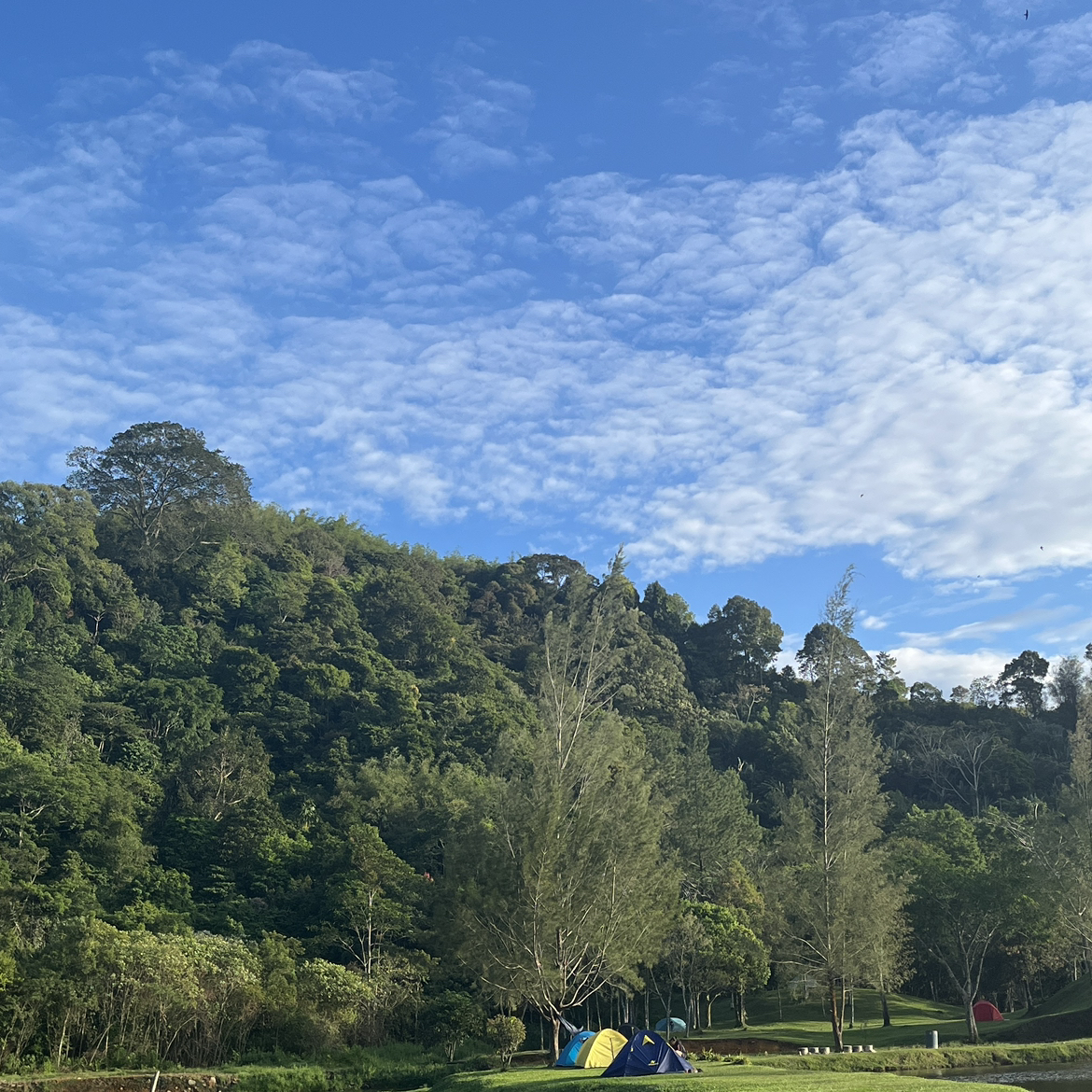 kolam korona sakti pamah vie