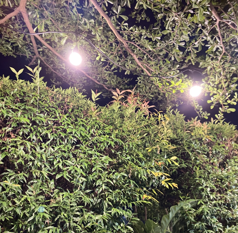 desa selubuk kecamatan air napal