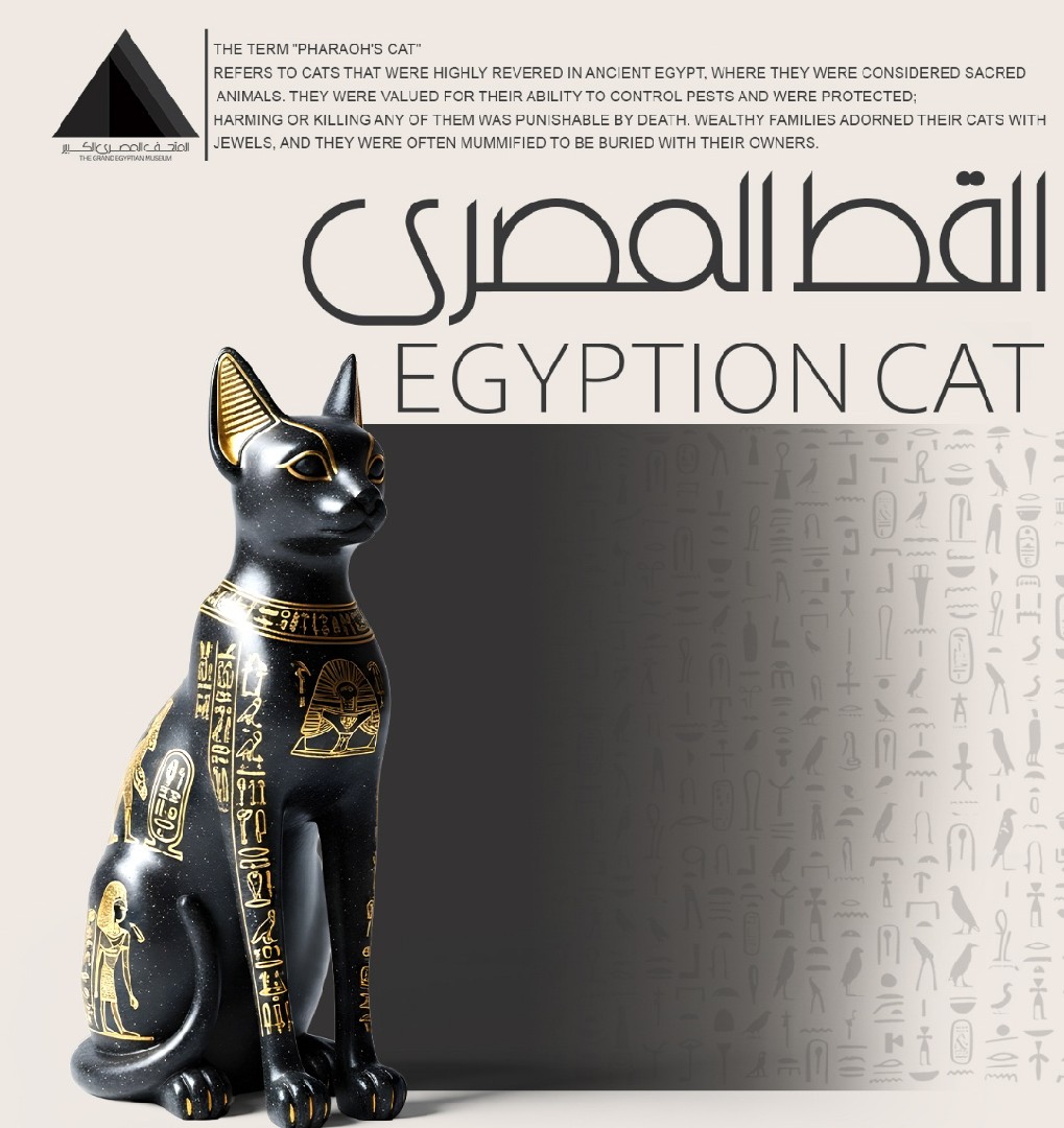 المتحف المصري الكبير