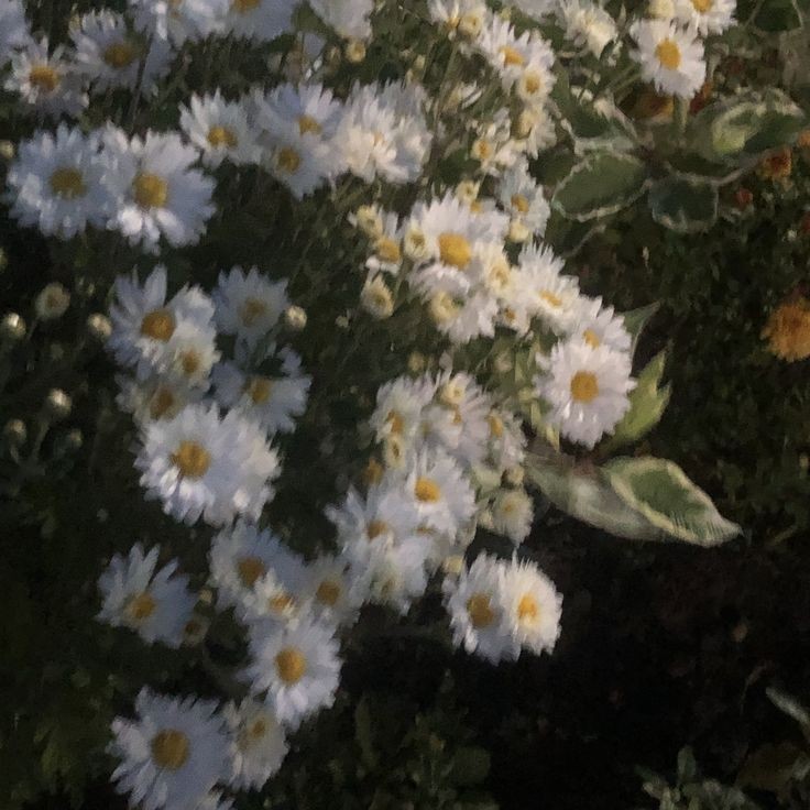 saya pernah berpengalaman membuatkan desain baju, dan logo juga melukis