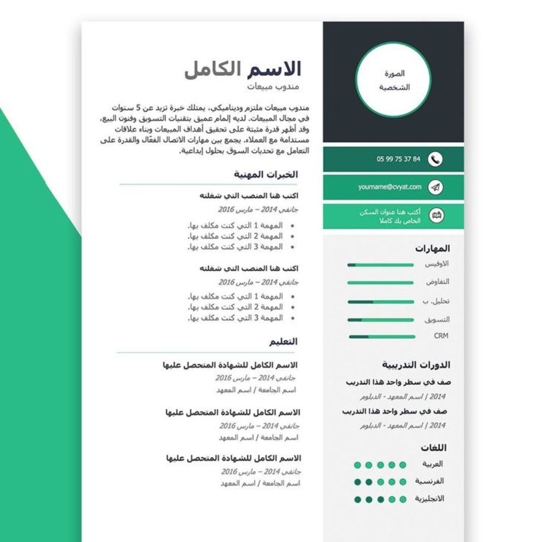 تصميم سي ڤي بتقنيه ATS.