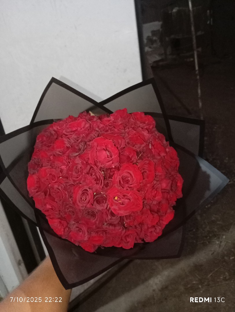 دروه مركز أشمون منوفيه