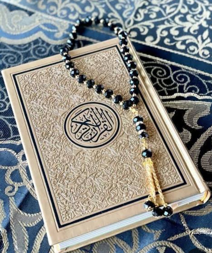 كفرالشيخ بيلا