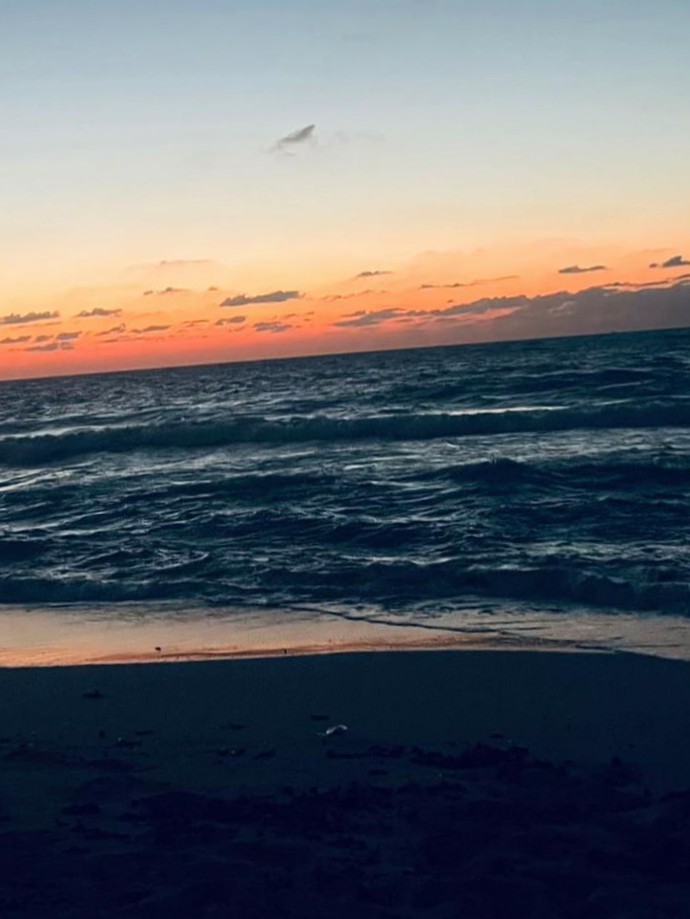 اقدم الخدمه اون لاين