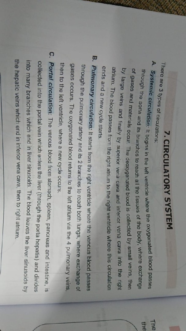 مصر سوهاج طها