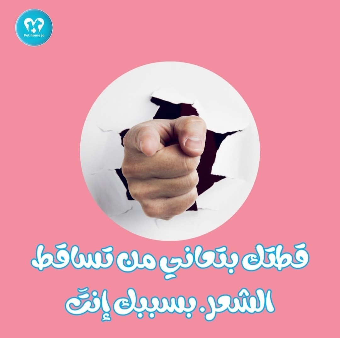 كاروسيل انستجرام