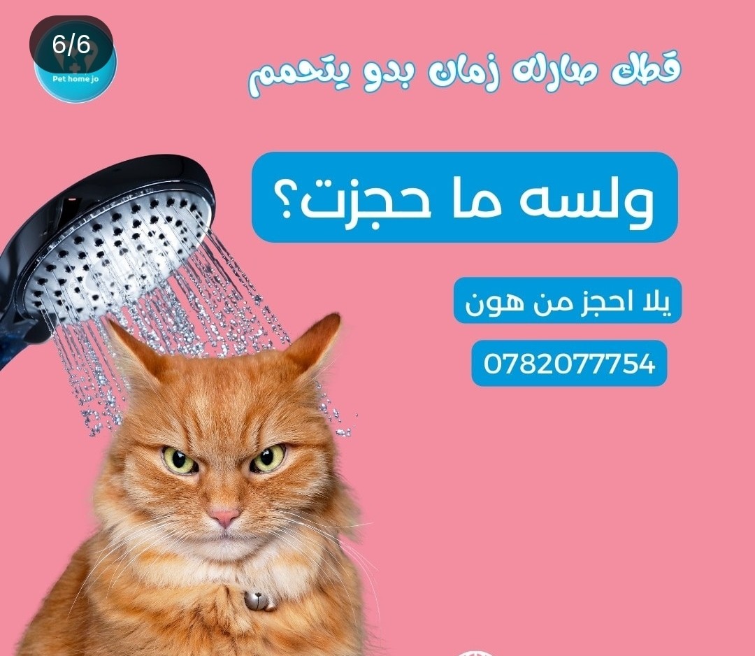 كاروسيل انستجرام