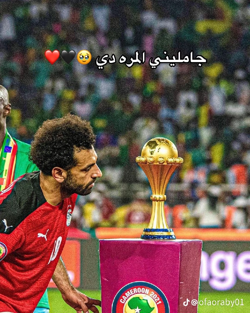 البحيره شبراخيت