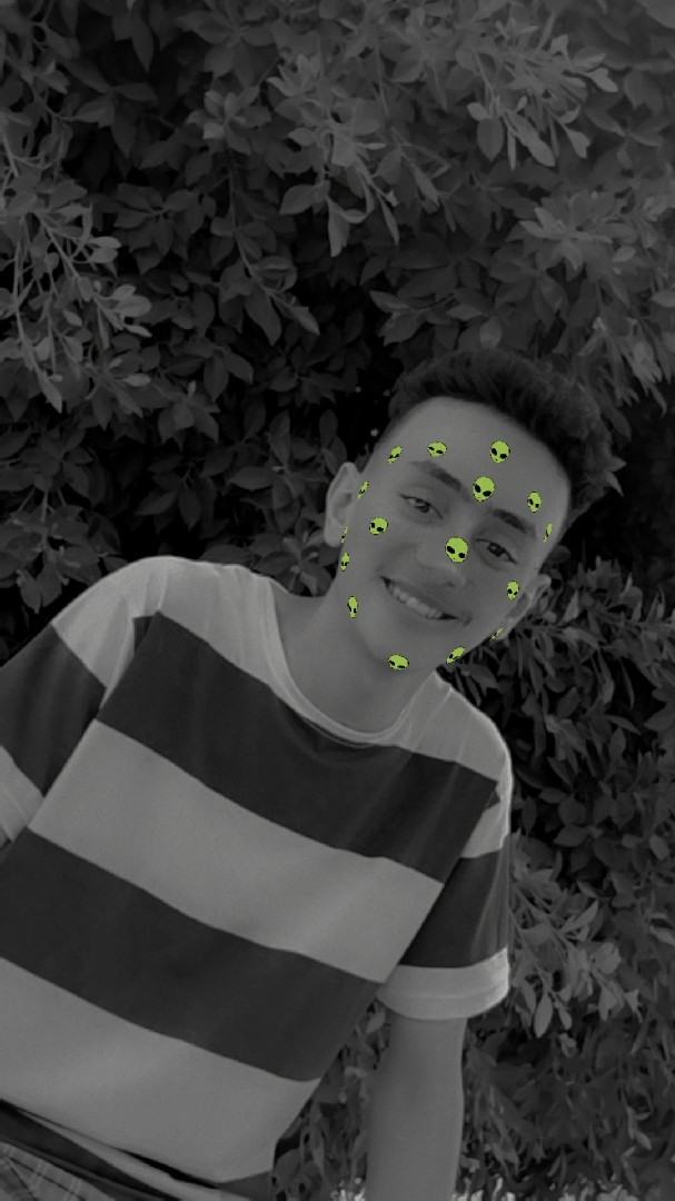 الدقهلية المنصورة