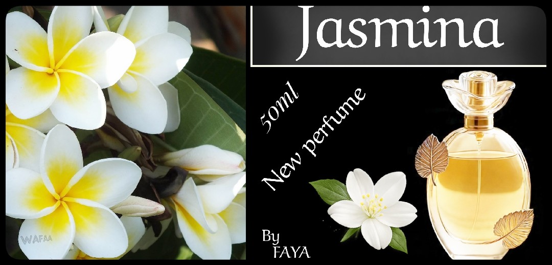 تصميم إعلان عطر Jasmina