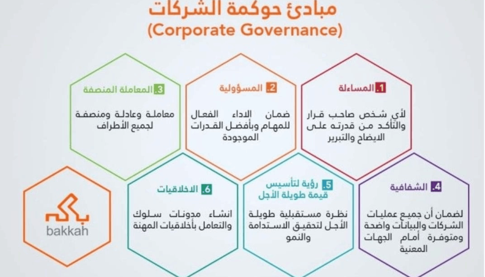 إعداد أنظمة ولوائح الحوكمة للكيانات الحكومية والتجارية وغير الربحية