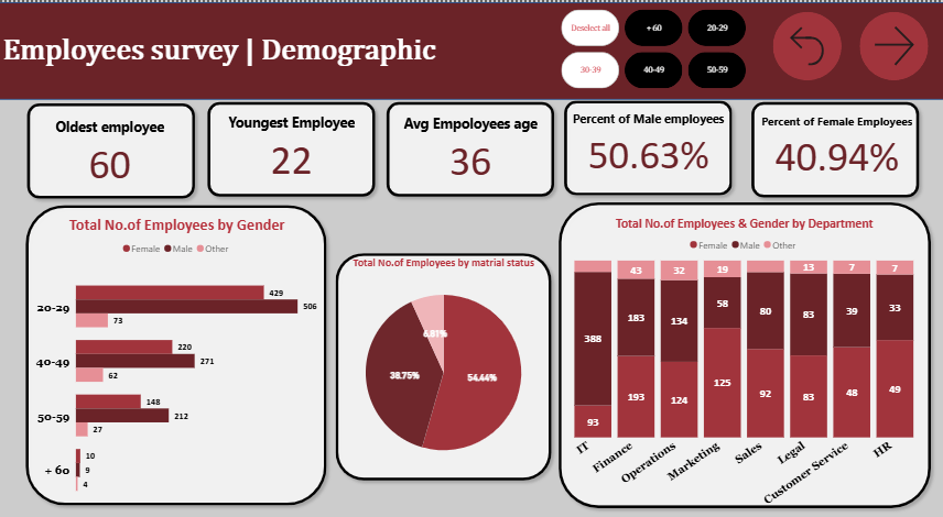 عمل Dashboard احترافي