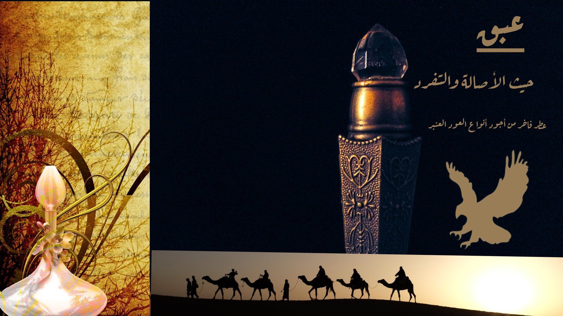 سأقوم بتصميم إعلان سوشيال ميديا أو مجلة (تصميم أساسي)