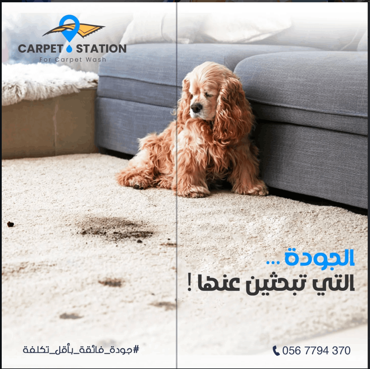 تصميم هوية بصرية متكاملة باحترافية عالية لعلامتك التجارية