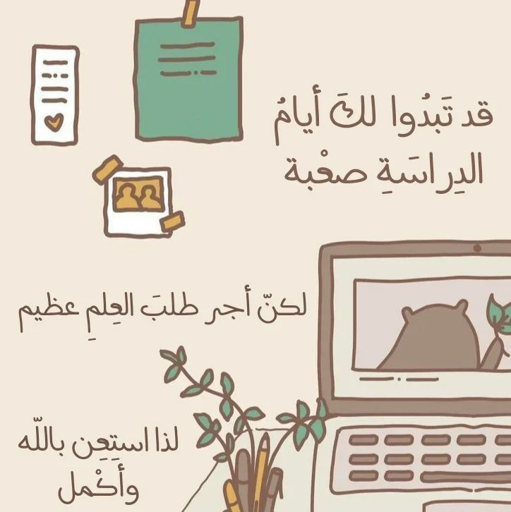 حل-واجبات-بحوث-عروض-برزنتيشن