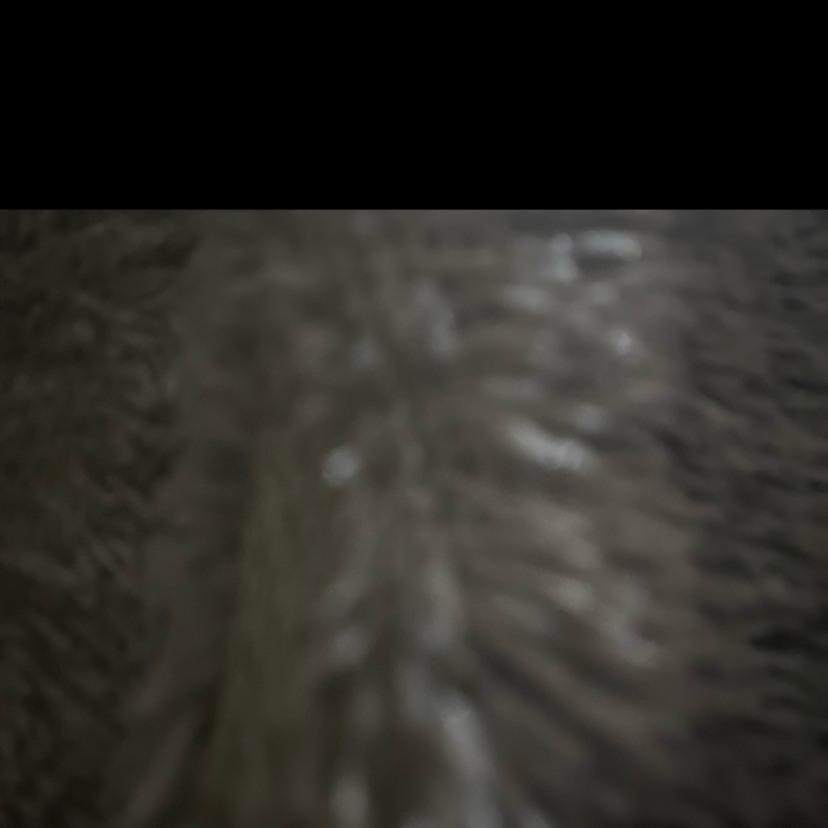 melayani-ketik-cepat