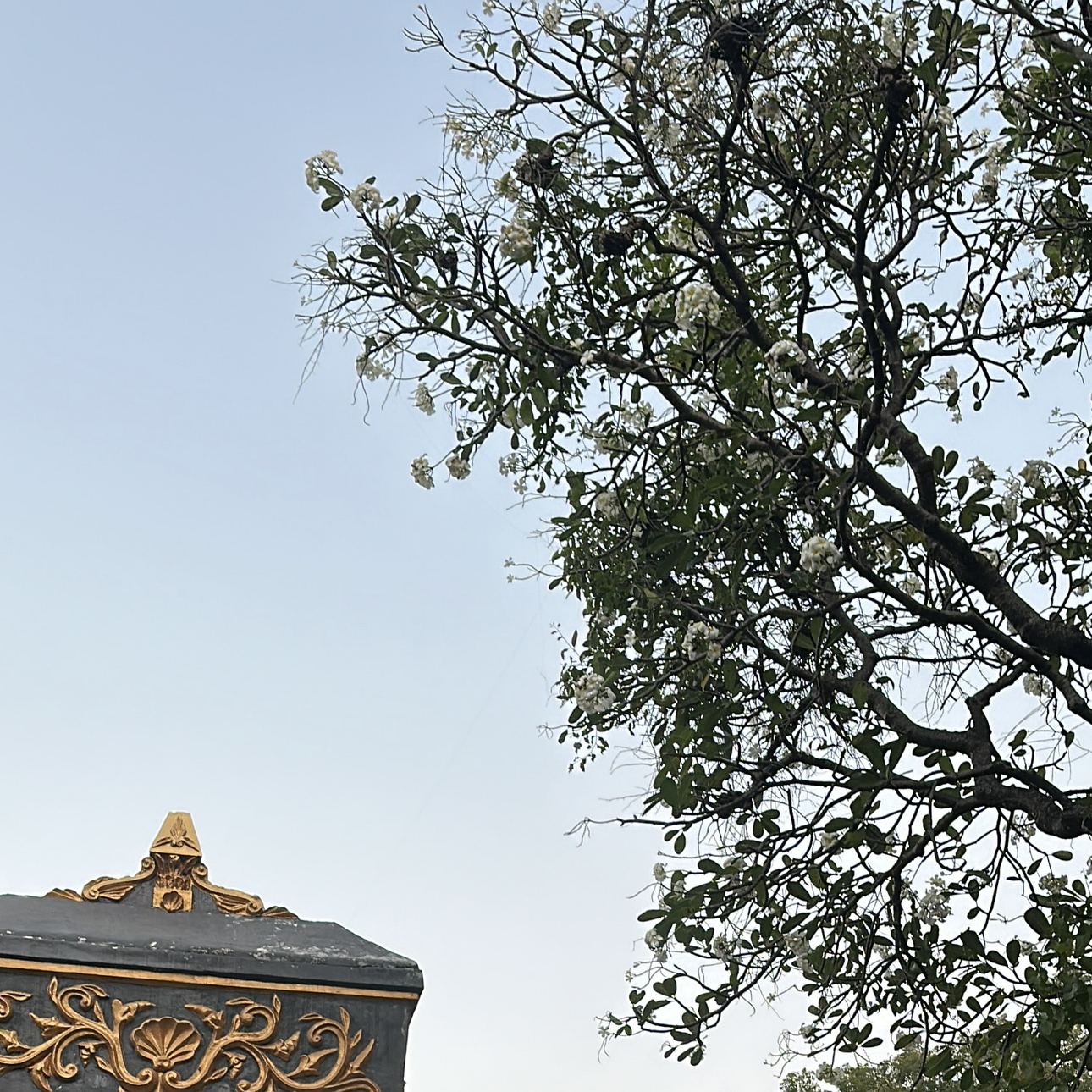 saya-bisa-membantu-penghitungan-masalah-uang