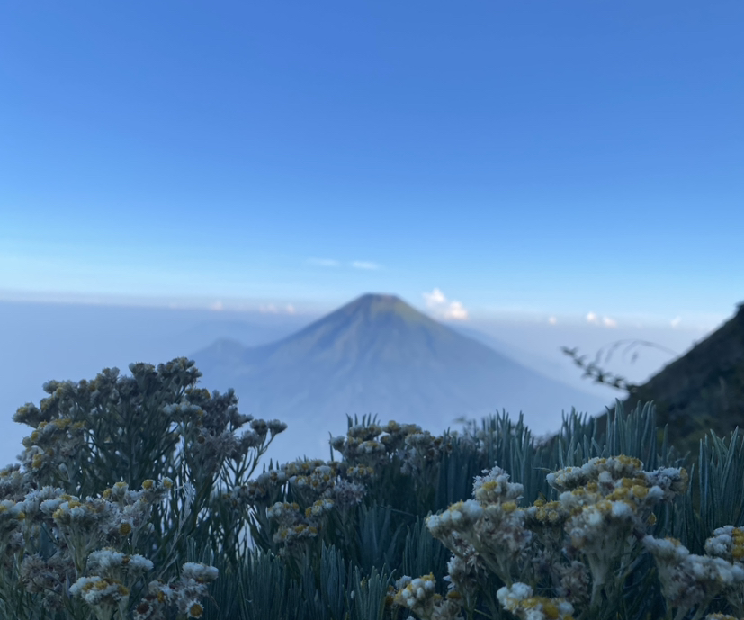 foto-indah-dan-bagus