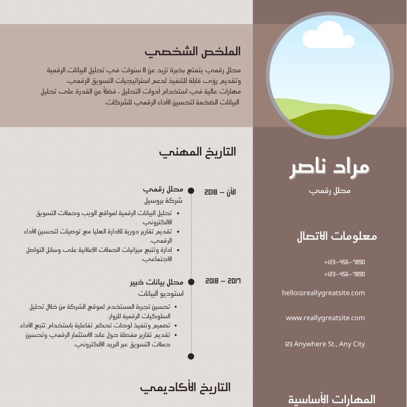 عمل-cv-بطريقة-احترافية