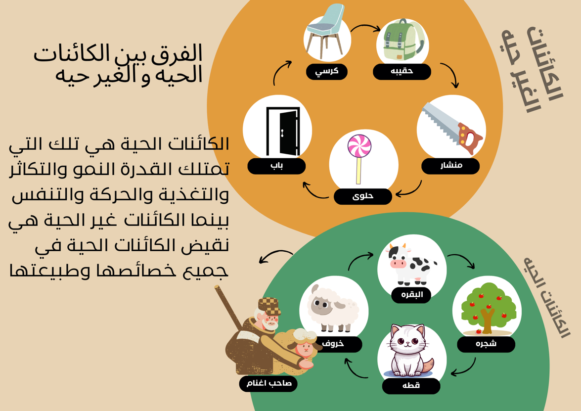 تصميم-خدمات-طلابية