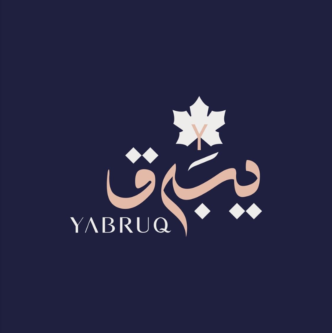 تصميم-شعار-لوجو-احترافي