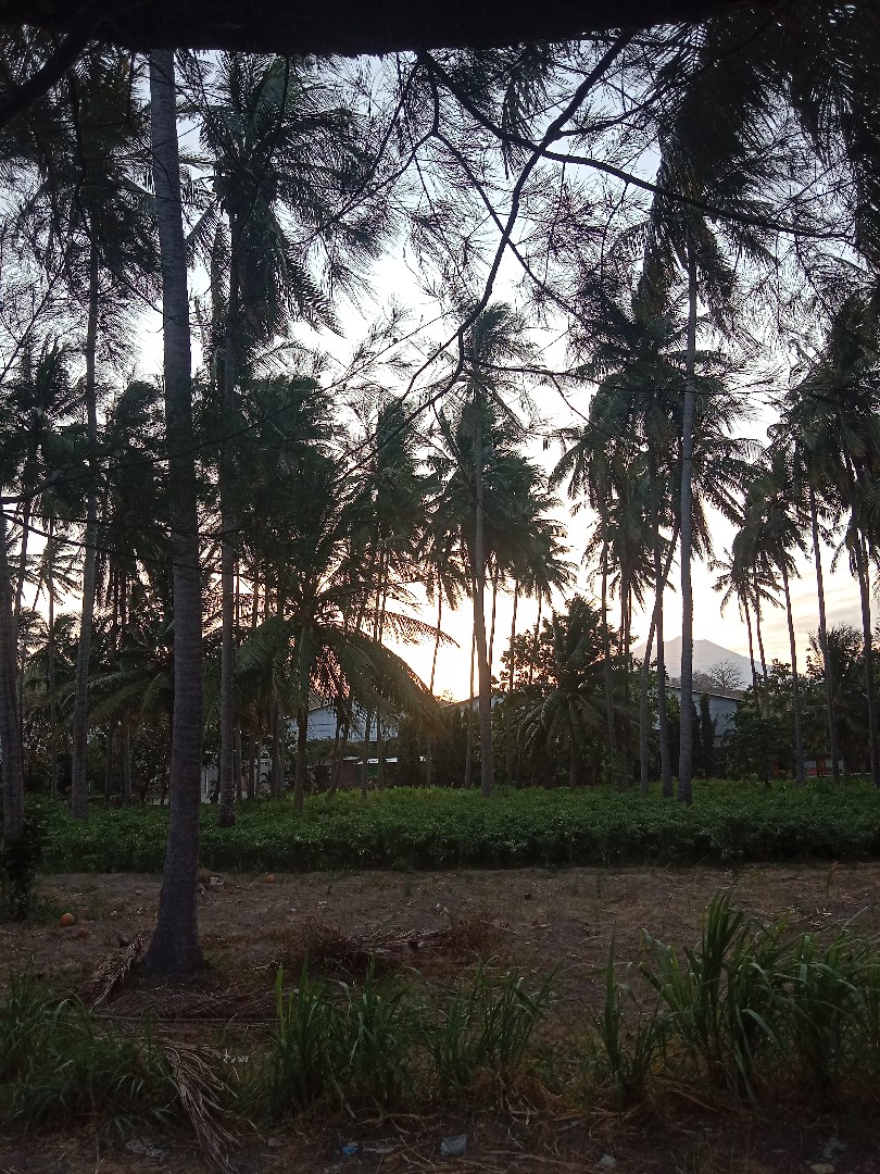 menerima-jasa-pekerjaan