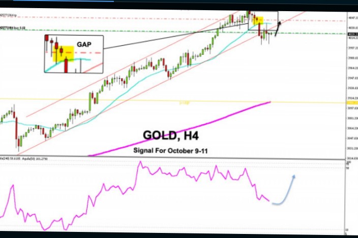 jasa-pengetahuan-forex-treding