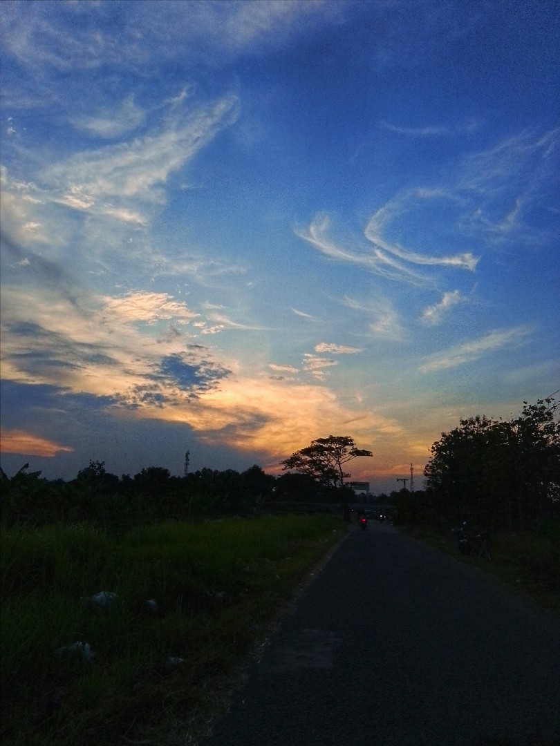 jasa-pembuatan-novel-cerpen