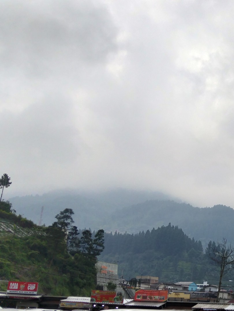 jasa-editing-writing-accounting