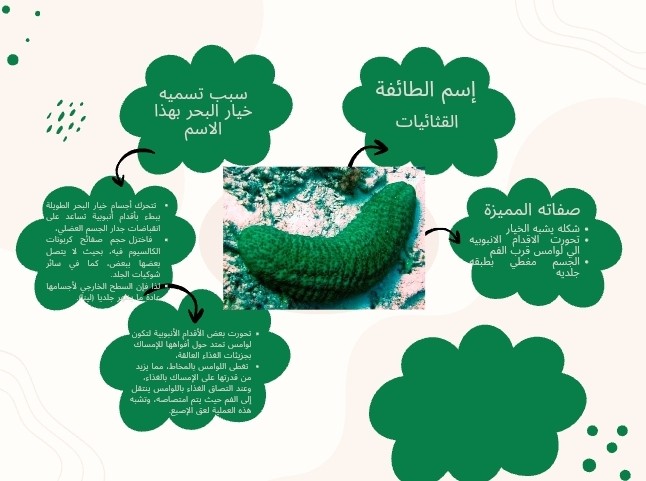 خرائط-مفاهيم