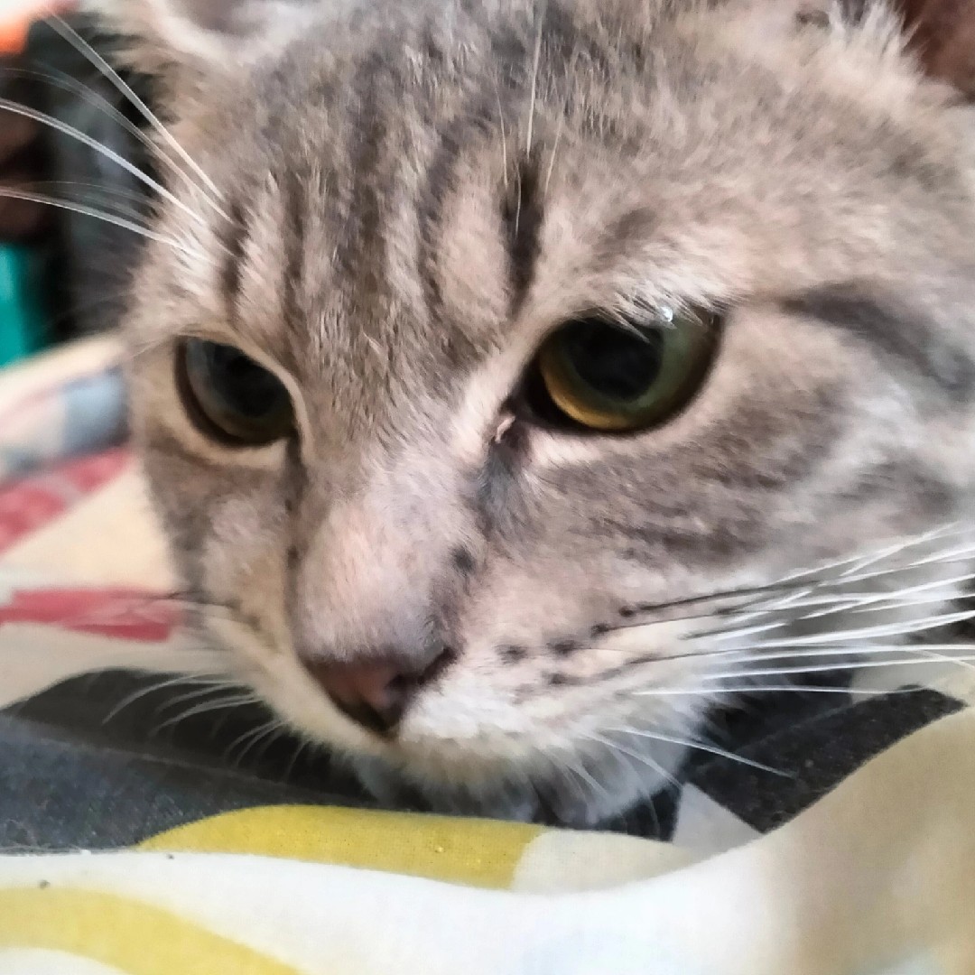 freelance-apa-pun-itu-bisa-saya-kerjakan