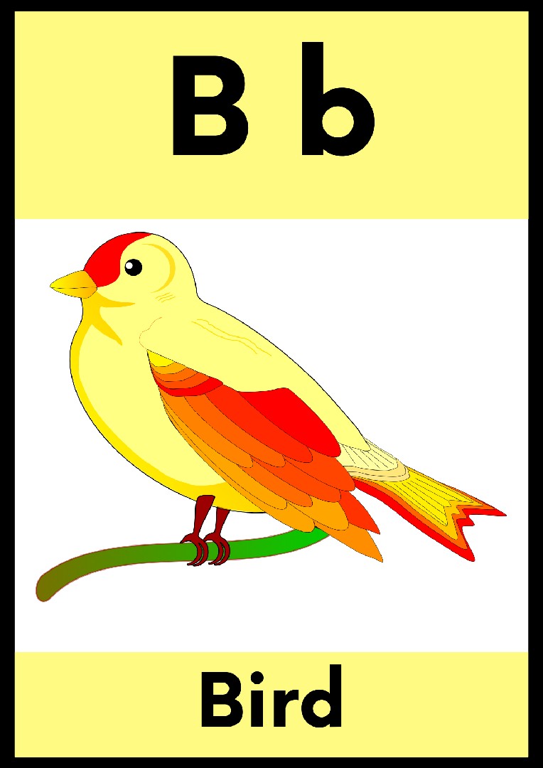 تصميم وتأليف قصة أطفال تعليمية مصورة مخصصة (PDF جاهز للطباعة) من فكرة الي منتج نهائي